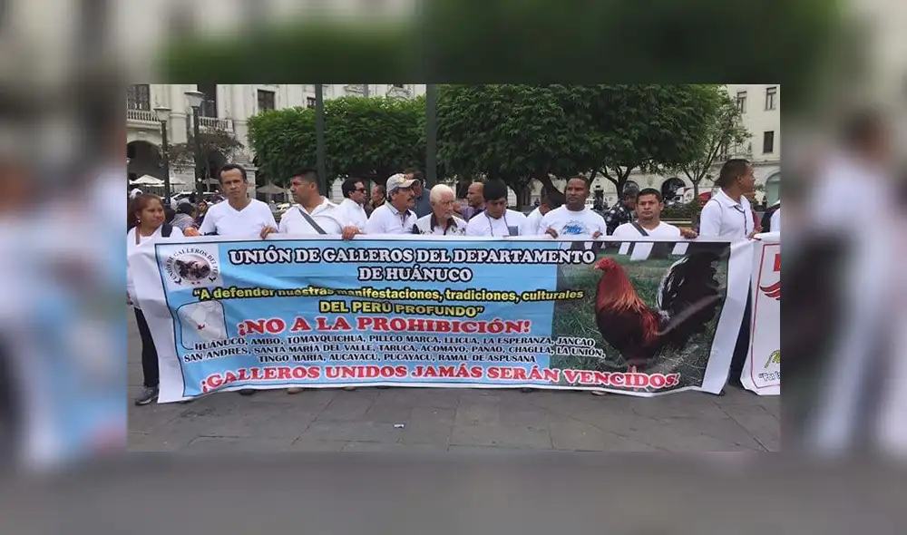 Asociaciones marchan a favor de las peleas de gallos [FOTOS] 