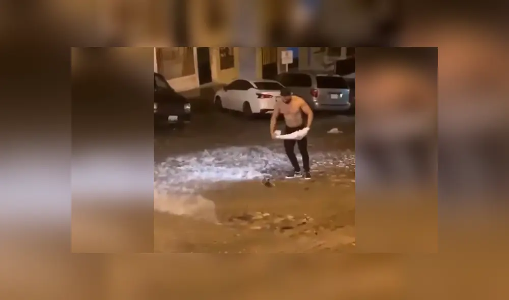 Desliza las imágenes para conocer el valiente gesto de un joven al ayudar a una zarigüeya que terminó tirada en la calle. Fotocaptura: Facebook. Desliza las imágenes para conocer el valiente gesto de un joven al ayudar a una zarigüeya que terminó tirada en la calle. Fotocaptura: Facebook.