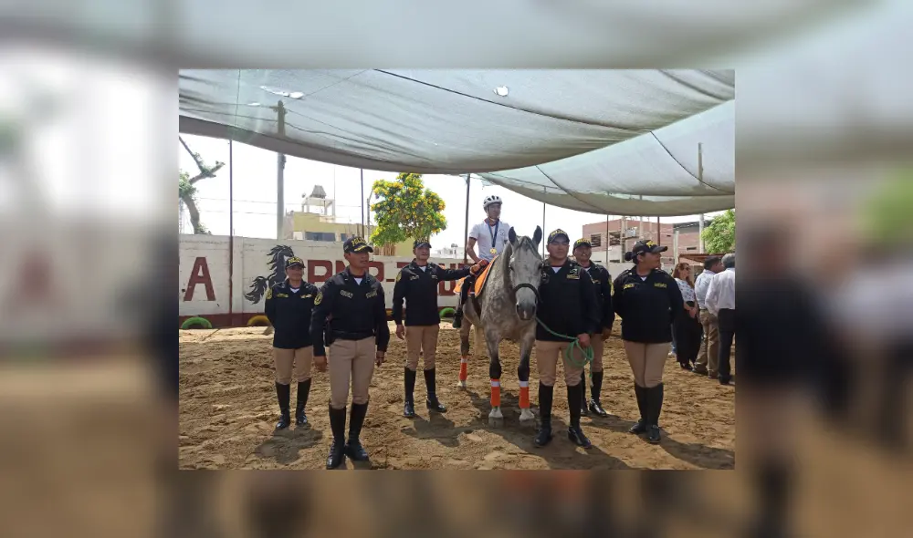 La Policía destacó que cuenta con profesionales capacitados para la equinoterapia. Foto: Yolanda Goicochea/URPI-LR