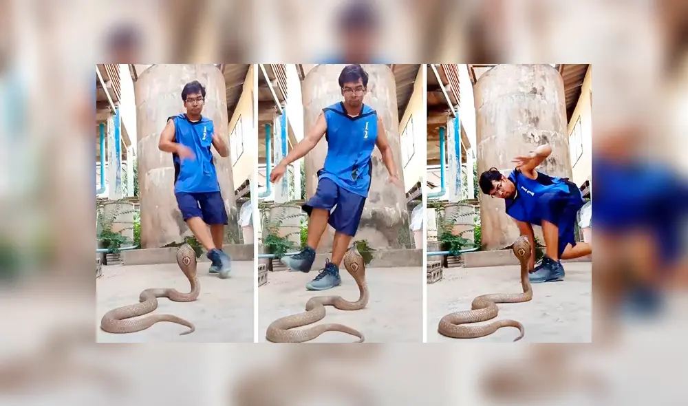 Desliza hacia la izquierda para ver el inusual baile que hizo el hombre para hipnotizar a una serpiente. Video viral de YouTube. Desliza hacia la izquierda para ver el inusual baile que hizo el hombre para hipnotizar a una serpiente. Video viral de YouTube.