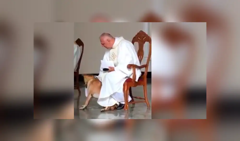 Facebook viral: perro irrumpe a párroco durante misa y la reacción de religioso asombra a todos [VIDEO]