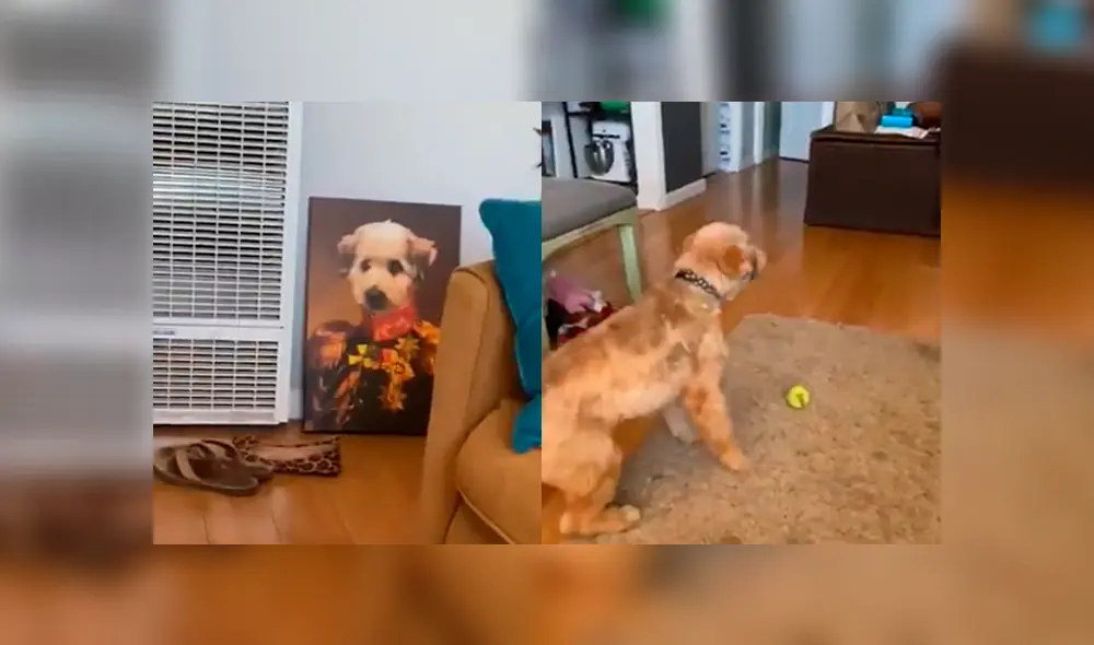 Desliza a la izquierda para ver este gracioso viral de Facebook. Foto: Captura. Desliza a la izquierda para ver este gracioso viral de Facebook. Foto: Captura.