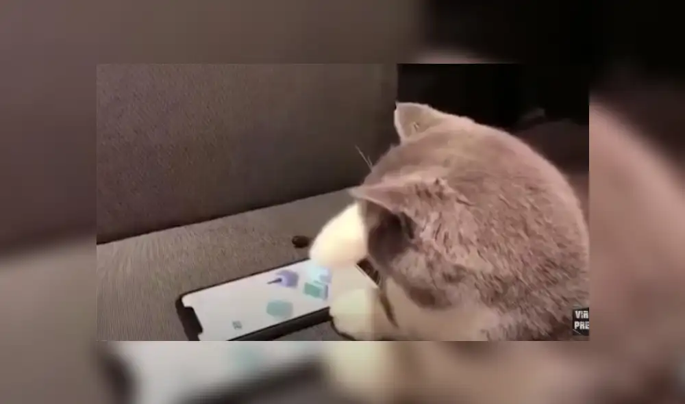 Desliza hacia la izquierda para ver más del video viral