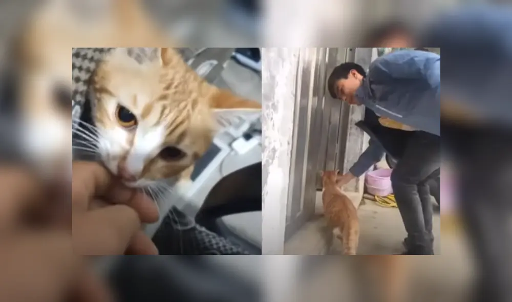 Desliza hacia la izquierda para ver más del video viral. Fotocaptura: YouTube Desliza hacia la izquierda para ver más del video viral. Fotocaptura: YouTube