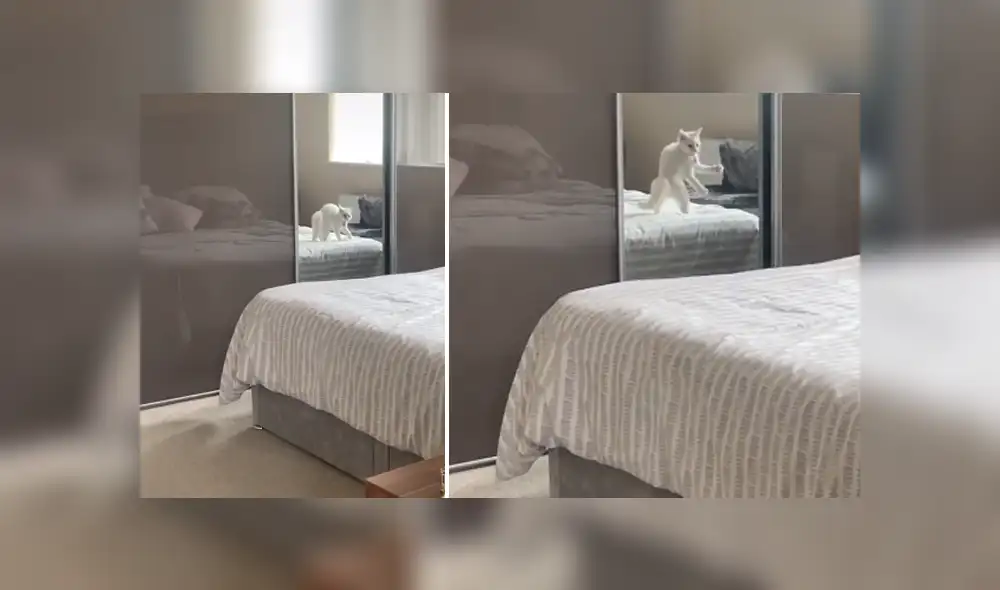 Desliza hacia la izquierda para ver las imágenes del viral de Facebook. Foto: Captura. Desliza hacia la izquierda para ver las imágenes del viral de Facebook. Foto: Captura.