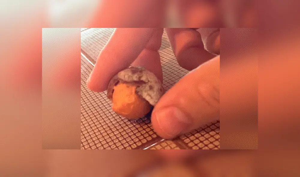 YouTube viral: joven experimenta colocando un huevo dentro de vaso con Coca Cola por un año [VIDEO] 