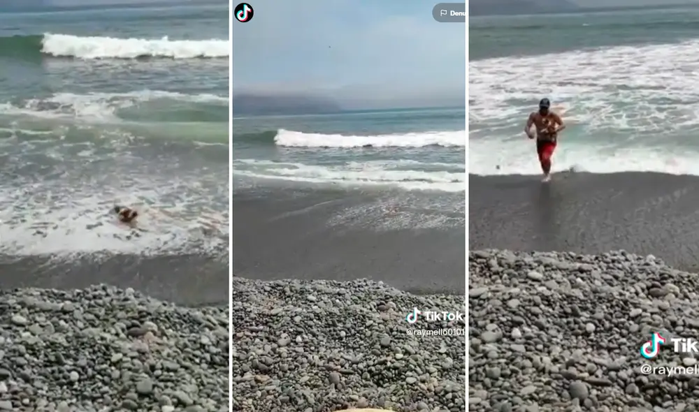El perrito afortunadamente fue alcanzado por otro bañista que logró rescatarlo. Foto: composición de LR/ captura de TikTok/@Raymello0101