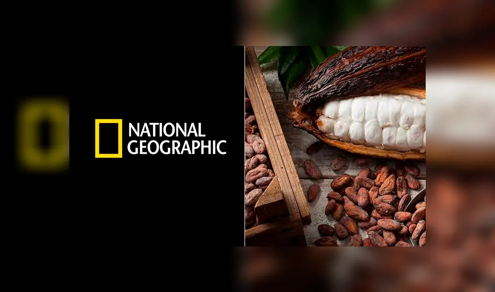 Desde Piura, la elaboración de chocolate con cacao de corazón blanco es considerado el mejor a nivel mundial.