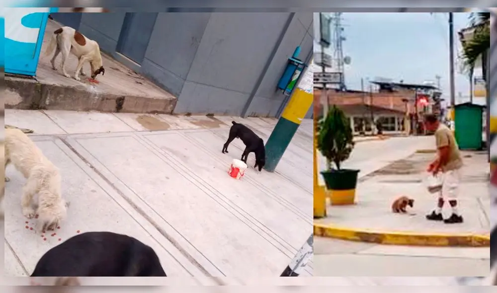 Coronavirus Coronavirus