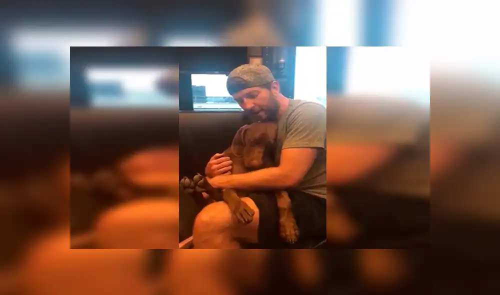 En Facebook, un joven interpreta una emotiva canción todos los días a su perro para que pueda dormir.