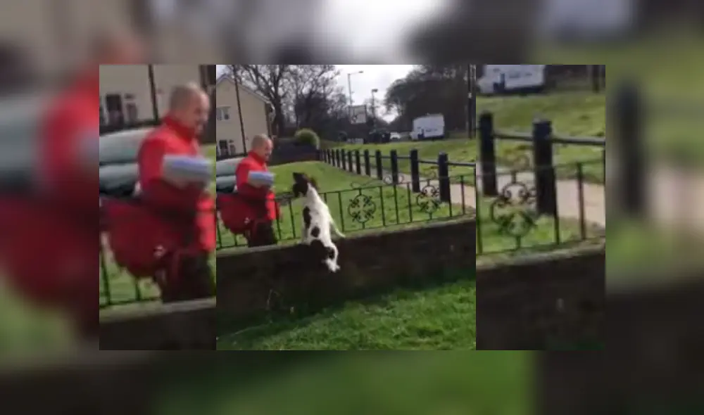 Desliza hacia la izquierda para ver más del video viral.