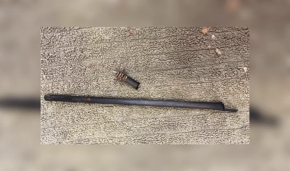 Gato sobrevivió cerca de una semana tras recibir flechazo en su cabeza