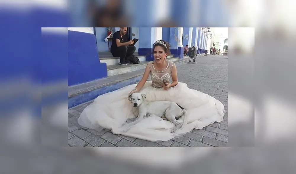 Desliza las imágenes para observar la acción de un perro al percatarse que una joven tenía una sesión de fotos.