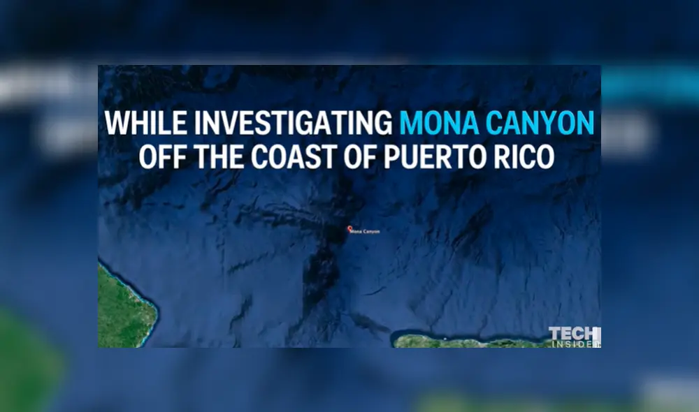 YouTube viral: buzo ingresa al fondo del océano y encuentran a extraño pez con cuatro ‘patas’