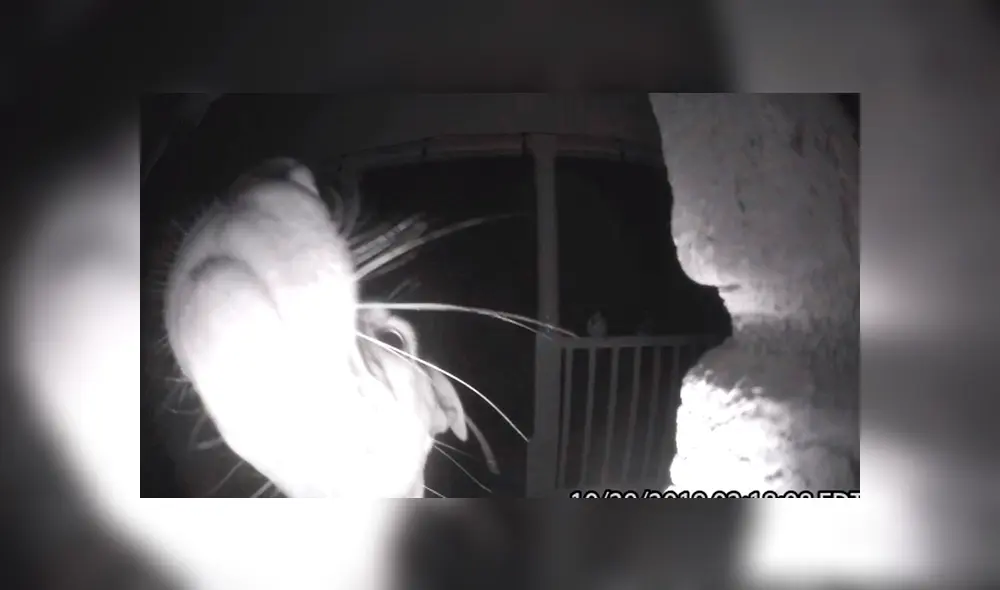 Avanza para ver los detalles del video viral de YouTube. Foto: Captura.