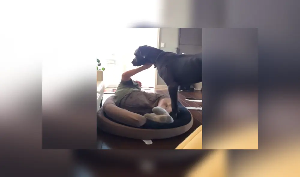 Desliza para ver los momentos más divertidos del video viral de Facebook. Desliza para ver los momentos más divertidos del video viral de Facebook.