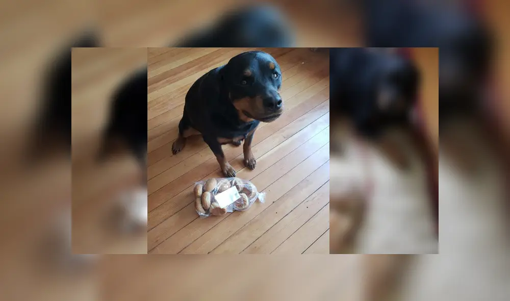 Desliza para ver los detalles de esta historia que se viralizó en Facebook. Foto: Captura. Desliza para ver los detalles de esta historia que se viralizó en Facebook. Foto: Captura.