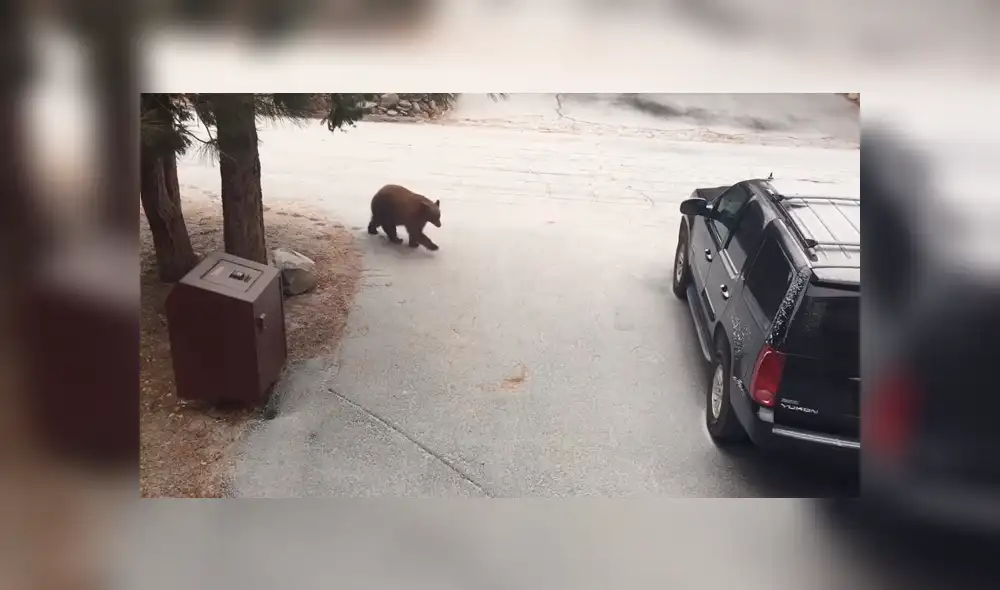 Desliza para ver los momentos más impactantes del video que se hizo viral en YouTube Desliza para ver los momentos más impactantes del video que se hizo viral en YouTube