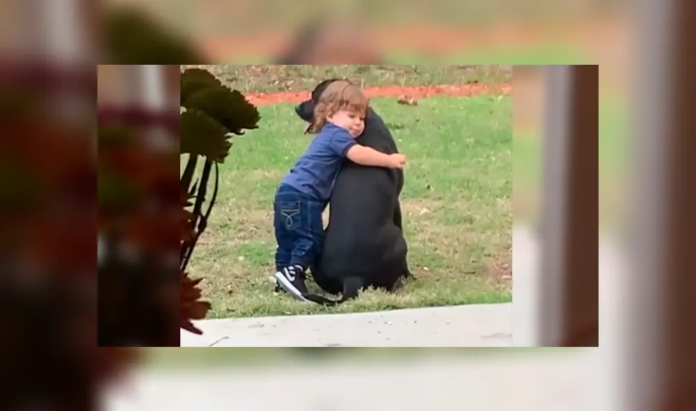 En Facebook, un pequeño se acercó a su mascota para darle un emotivo abrazo y fue descubierto por su madre. En Facebook, un pequeño se acercó a su mascota para darle un emotivo abrazo y fue descubierto por su madre.