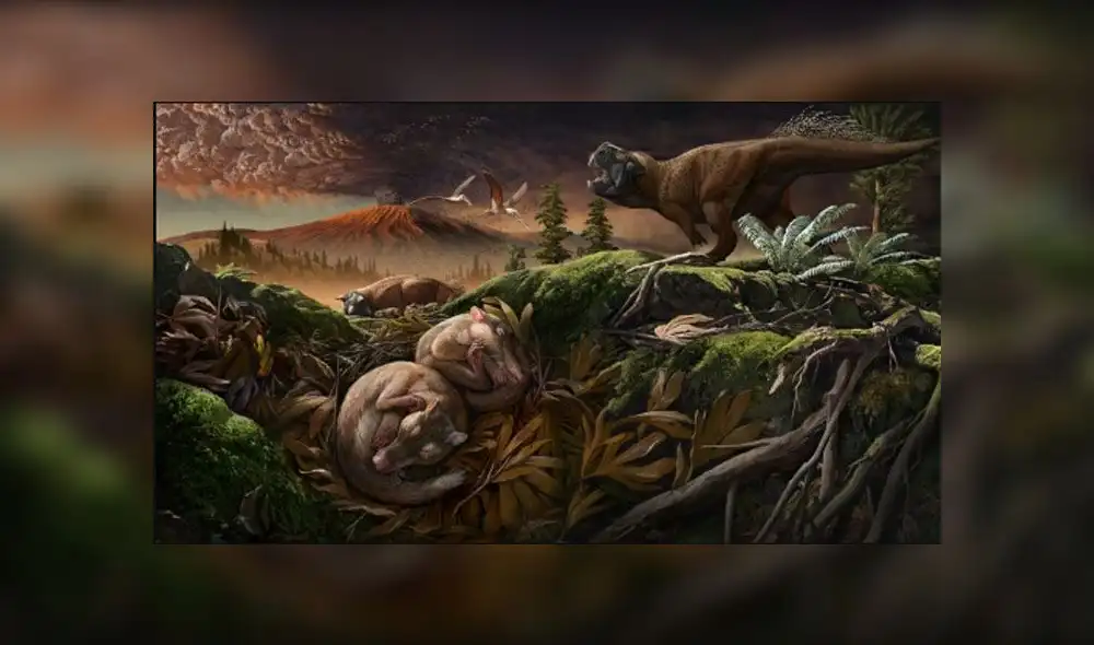 Científicos encontraron un eslabón perdido que explica la evolución de la audición en los mamíferos. Foto: AFP