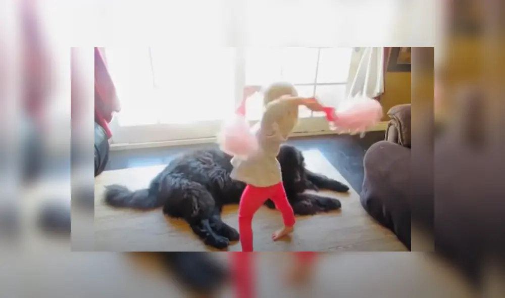 Desliza las imágenes para ver más detalles sobre este tierna escena.