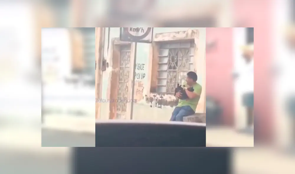 En Facebook, una joven descubrió la tierna escena protagonizada por su padre un gato callejero que adoptó. En Facebook, una joven descubrió la tierna escena protagonizada por su padre un gato callejero que adoptó.