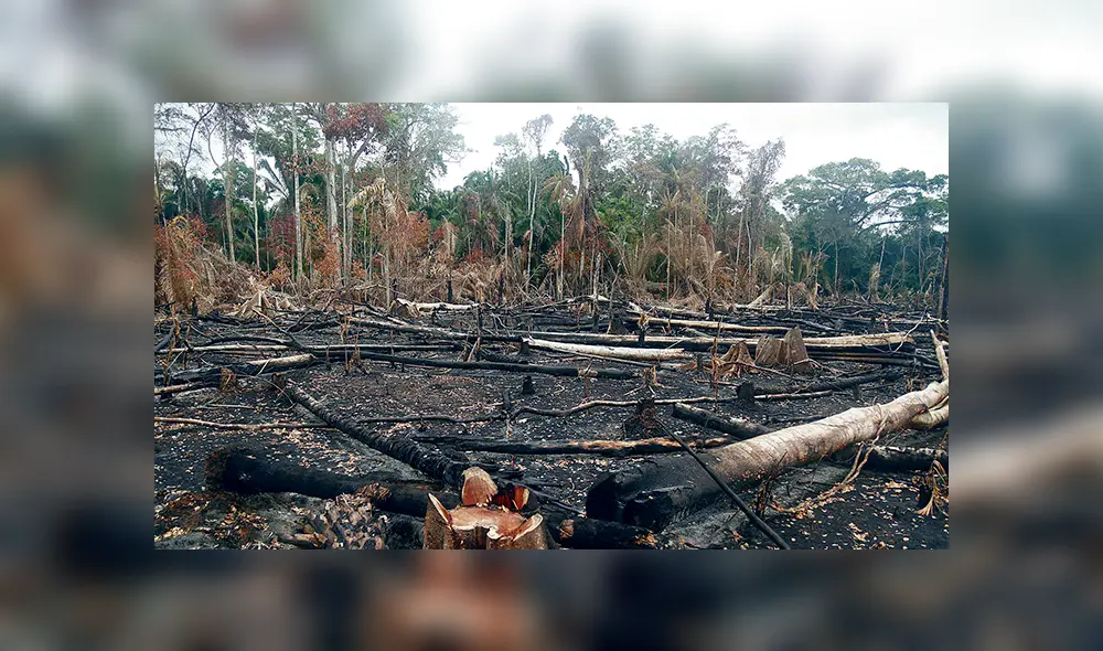 Cocha Anía. Los acusados por la fiscalía otorgaron títulos de posesión a agricultores de esta zona donde nadie reside. Cocha Anía. Los acusados por la fiscalía otorgaron títulos de posesión a agricultores de esta zona donde nadie reside.