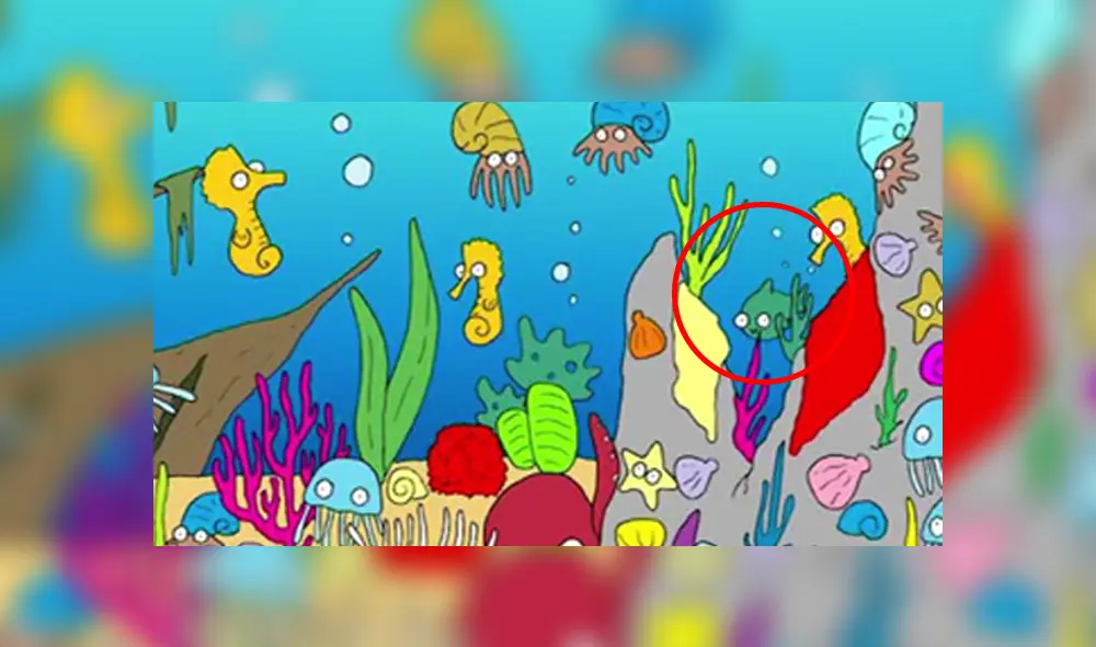 Desliza a la izquierda para conocer la respuesta de este complicado reto visual en Facebook. Foto: CNN en Español. Desliza a la izquierda para conocer la respuesta de este complicado reto visual en Facebook. Foto: CNN en Español.