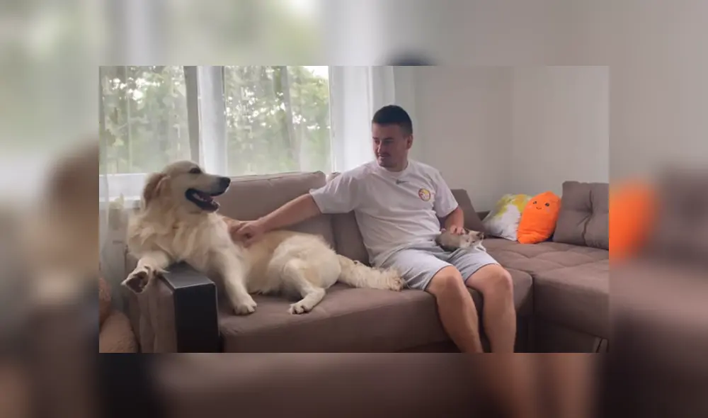 Desliza hacia la izquierda para ver las imágenes del viral de Facebook. Foto: Captura. Desliza hacia la izquierda para ver las imágenes del viral de Facebook. Foto: Captura.