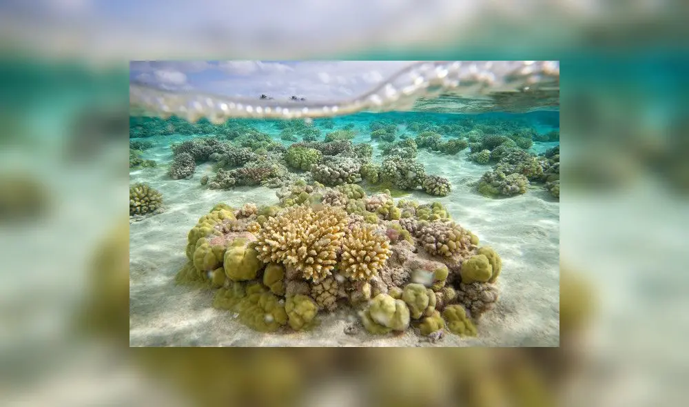 ¡Terrible amenaza a una joya del Amazonas!