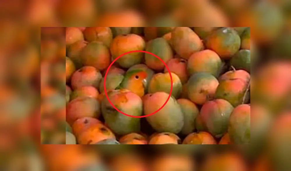 Desliza para ver los detalles del reto visual que es viral en Facebook. Foto: Captura.