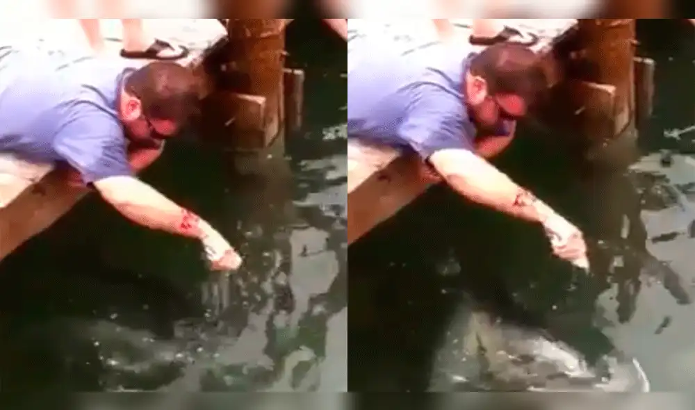 Facebook Viral: Quiso darle de comer a pez y casi pierde su brazo [VIDEO]