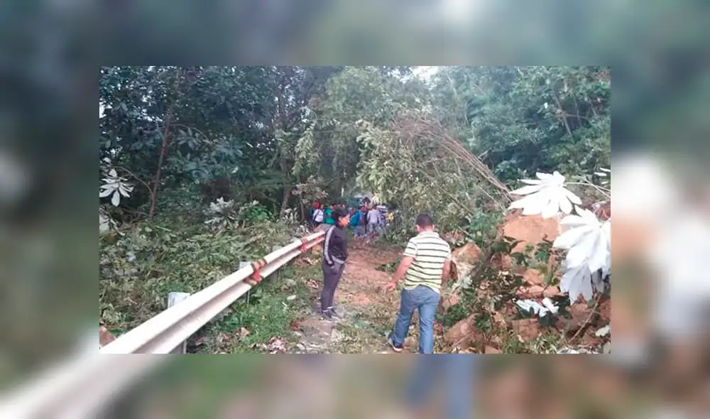 Vía que une Yurimaguas - Tarapoto colapsa tras sismo de 8.0 grados en Loreto 