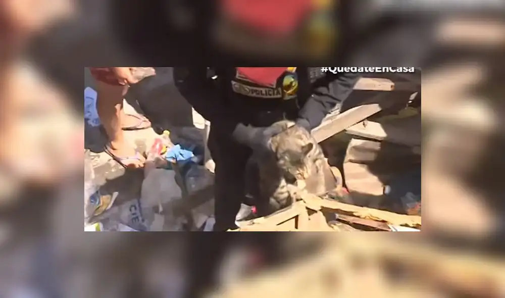 Créditos: Captura Canal N.