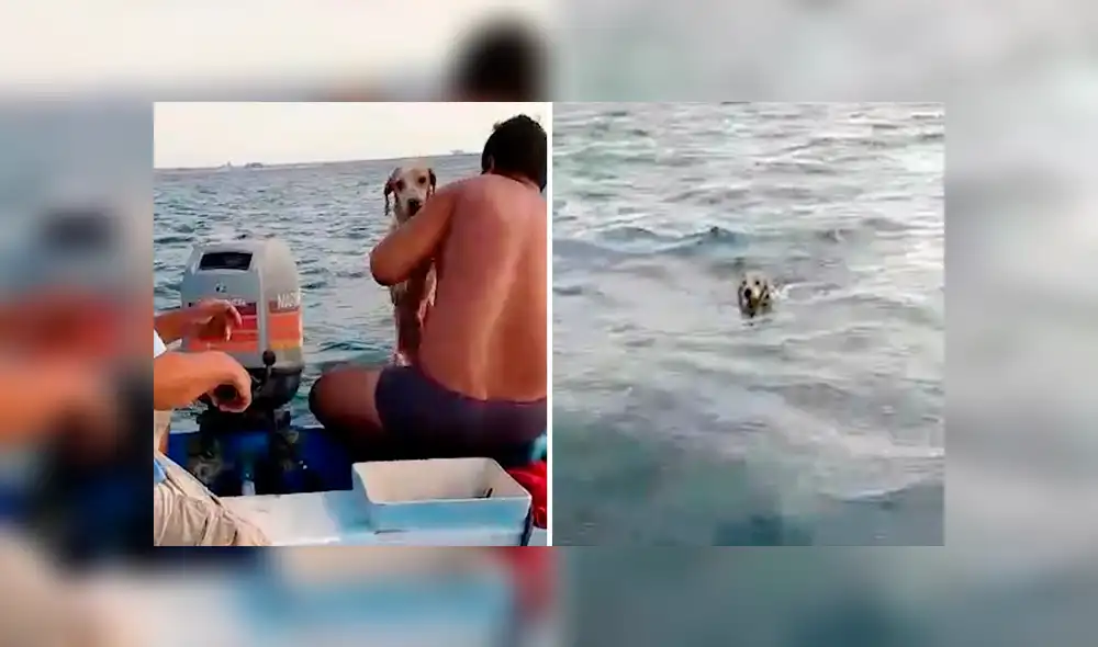 Video es viral en YouTube. El perro había ingerido mucha agua salda y estaba muy agotado, pero afortunadamente fue encontrado por estos pescadores que rápidamente lo rescataron. Foto: Captura. Video es viral en YouTube. El perro había ingerido mucha agua salda y estaba muy agotado, pero afortunadamente fue encontrado por estos pescadores que rápidamente lo rescataron. Foto: Captura.