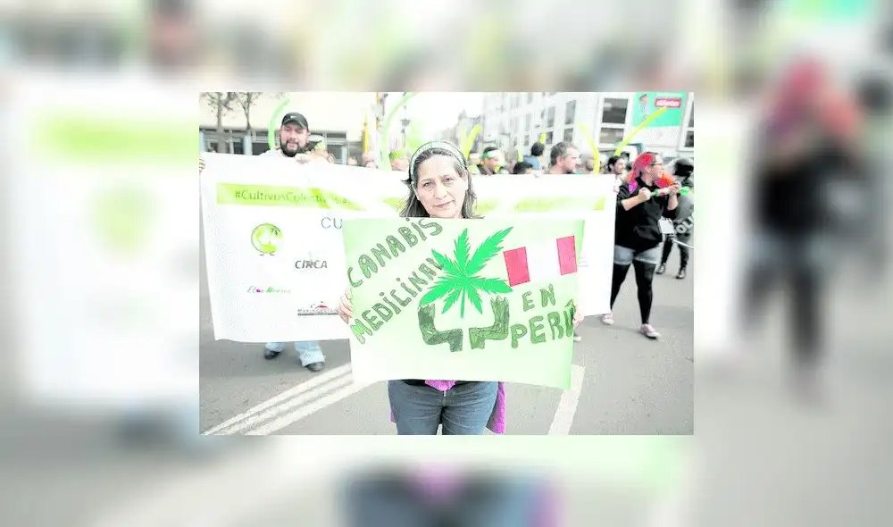 Minsa presentaría reglamento de Ley de Cannabis Medicinal la próxima semana Minsa presentaría reglamento de Ley de Cannabis Medicinal la próxima semana