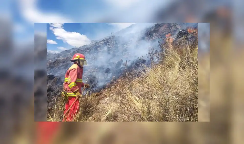 Incendios forestales arrasan más de 50 hectáreas de pastos naturales en Cusco Incendios forestales arrasan más de 50 hectáreas de pastos naturales en Cusco