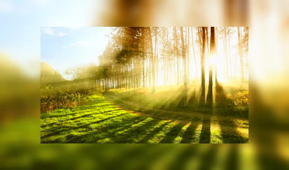 ¿Por qué se celebra el Día Mundial del Medio Ambiente el 5 de junio y cuál es su importancia? ¿Por qué se celebra el Día Mundial del Medio Ambiente el 5 de junio y cuál es su importancia?