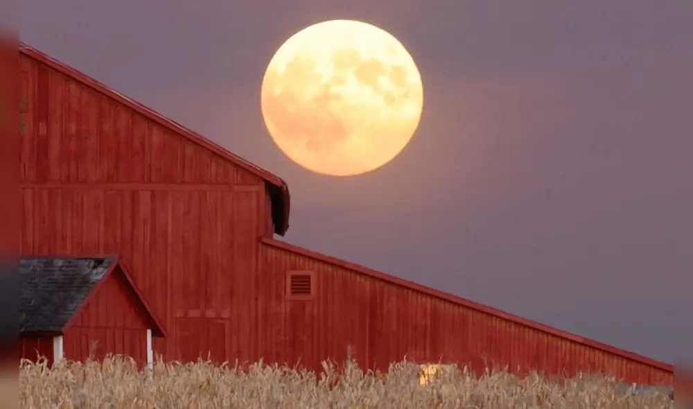 Luna de Cosecha. Foto: difusión. Luna de Cosecha. Foto: difusión.