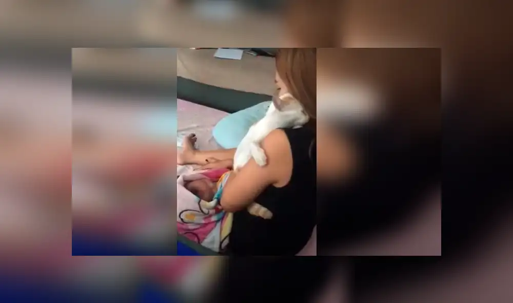 Desliza hacia la izquierda para ver más del video viral