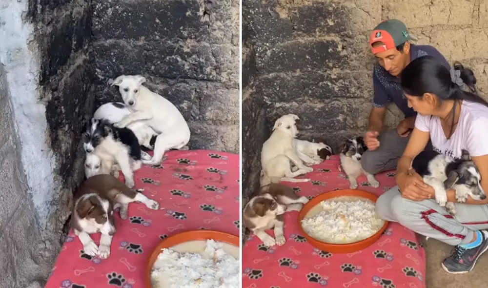 Desliza las imágenes para ver más detalles sobre esta tierna escena que es viral en redes sociales. Foto: captura de Facebook Desliza las imágenes para ver más detalles sobre esta tierna escena que es viral en redes sociales. Foto: captura de Facebook