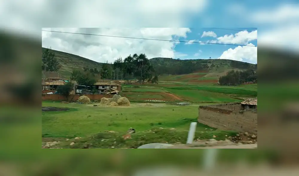 Huancayo: un jardín de niños se convierte en establo para animales [FOTOS]