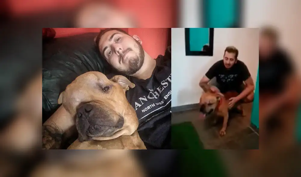 YouTube viral: hombre adoptó a perro con tumor maligno para darle amor y cuidarlo en sus últimos días de vida
