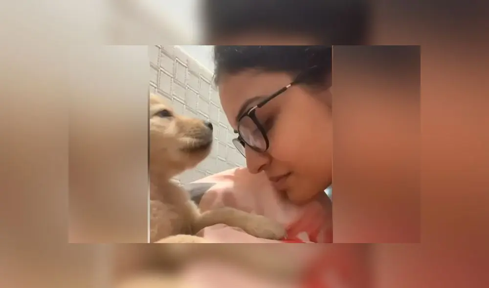 Desliza las imágenes para ver la tierna escena que protagonizó un perro bebé con su dueña. Foto: Caters Clips/Captura Desliza las imágenes para ver la tierna escena que protagonizó un perro bebé con su dueña. Foto: Caters Clips/Captura