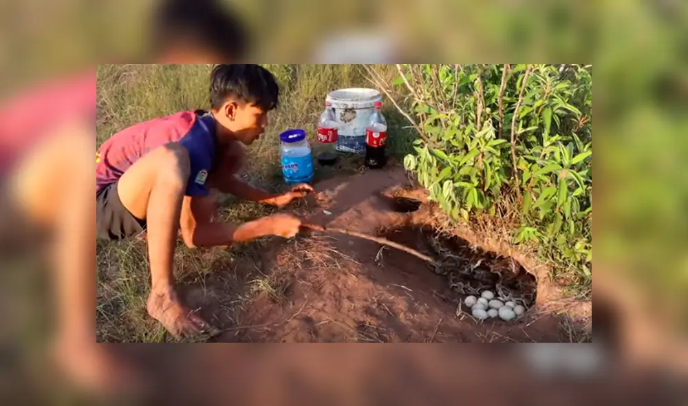 Desliza hacia la izquierda para ver el inesperado hallazgo que se volvió viral en YouTube.