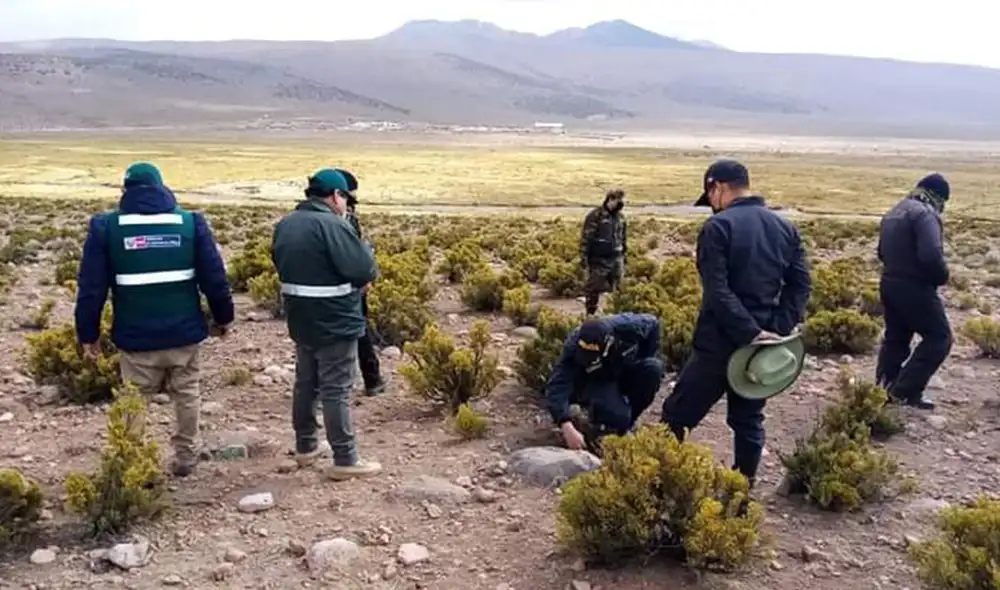 Autoridades recorrieron zonas cercanas a la frontera con Chile y Bolivia. Foto: Cortesía Fiscalía