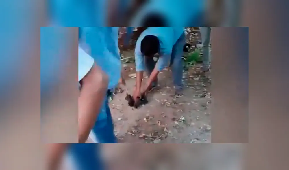 Vía Facebook. Los pobladores aún no saben si la madre los abandonó o los dejó solos para ir en busca de comida. Foto: captura.