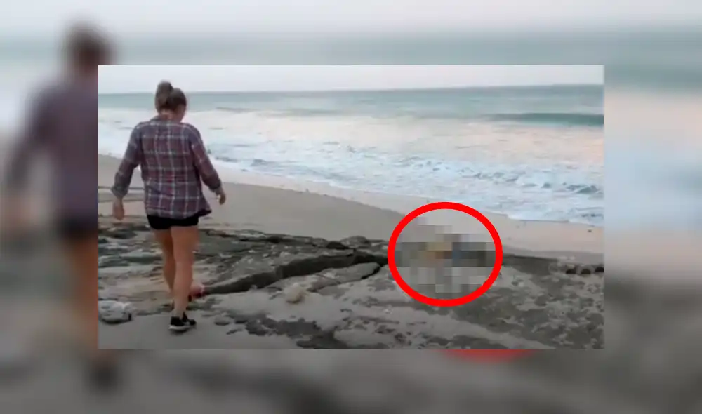 Jóvenes encuentran misteriosa criatura atrapada entre las rocas.