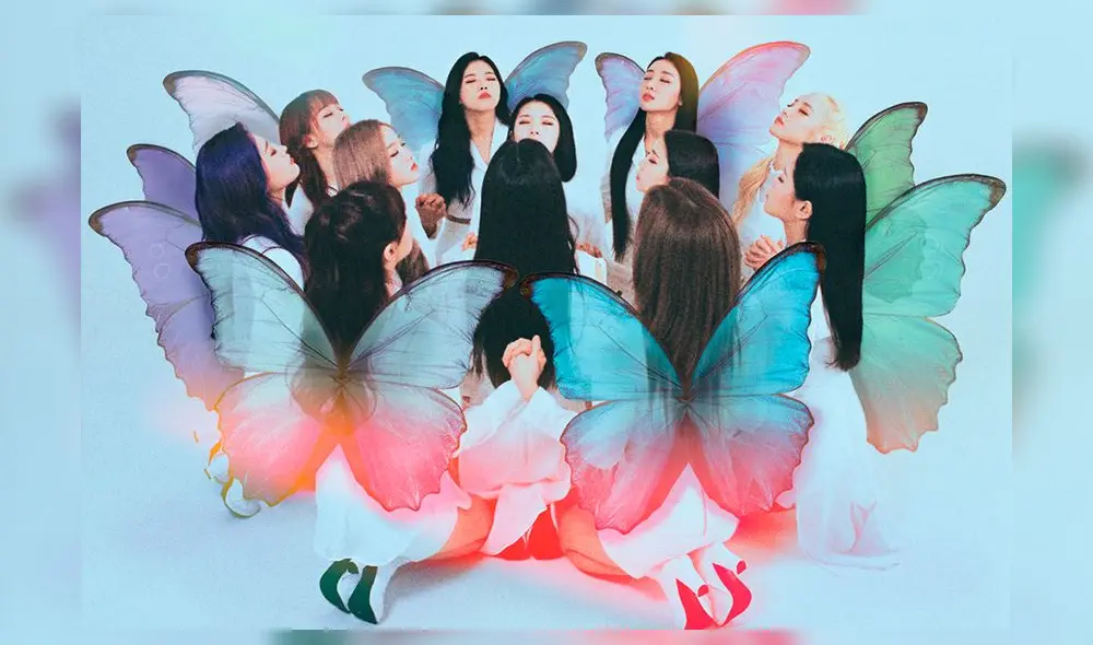 Su último canción, "Butterfly", es considerada por varios medios coreanos como uno de los mejores temas del 2019.