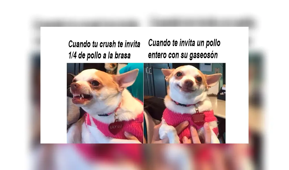 Facebook viral: los mejores memes por el Día del Pollo a la Brasa [FOTOS]